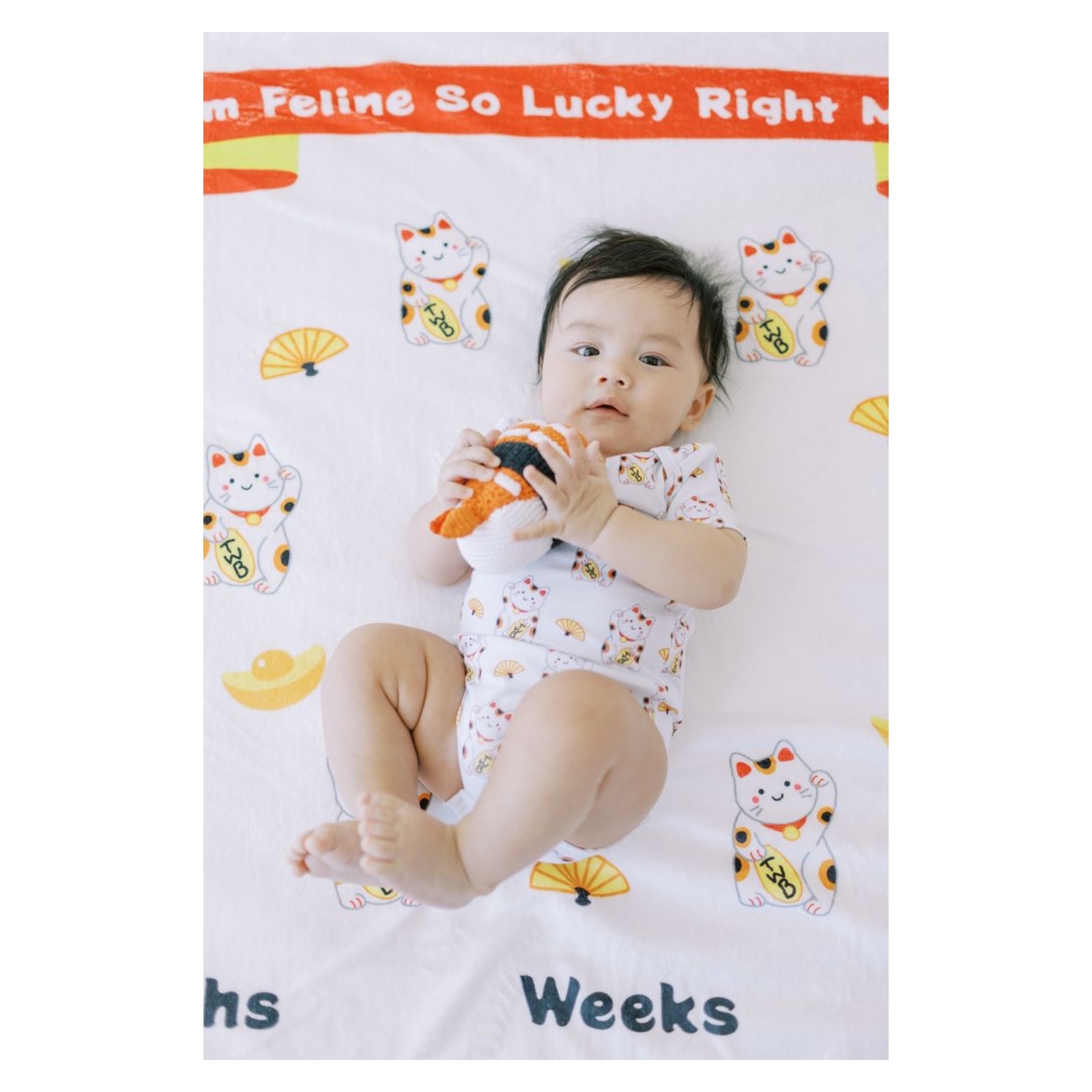 The Wee Bean Fleece Milestone Photography Blanket